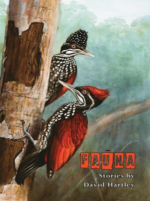 cover image of Fauna